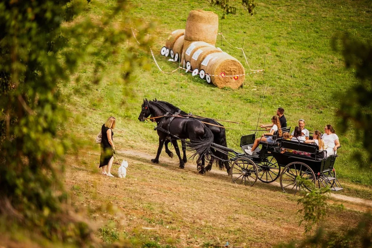 Počinje najbogatiji Štrudlafest ikada