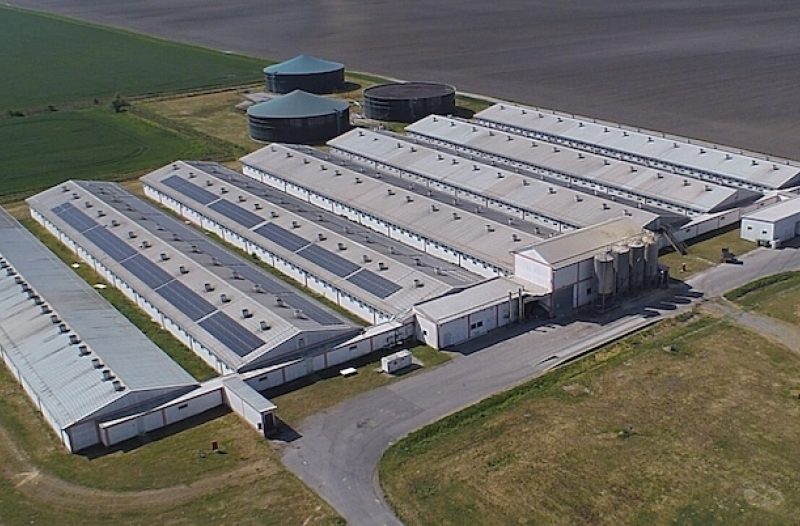 Koprivnica - grad-koprivnica.net - Repopulacija farme Sokolovac
